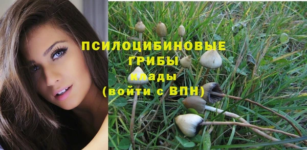 ГАЛЛЮЦИНОГЕННЫЕ ГРИБЫ Абаза