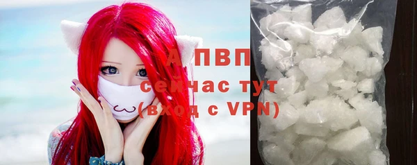 ГАЛЛЮЦИНОГЕННЫЕ ГРИБЫ Абаза
