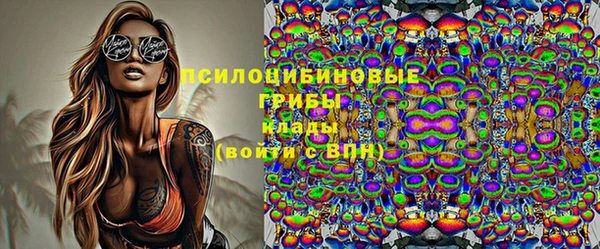 ГАЛЛЮЦИНОГЕННЫЕ ГРИБЫ Абаза